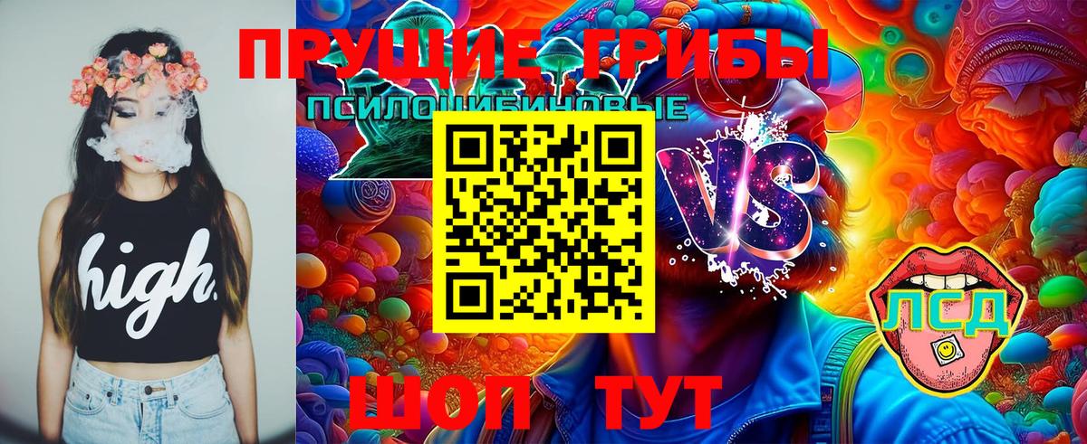 купить   Вход с VPN  Котлас  Галлюциногенные грибы Psilocybe 