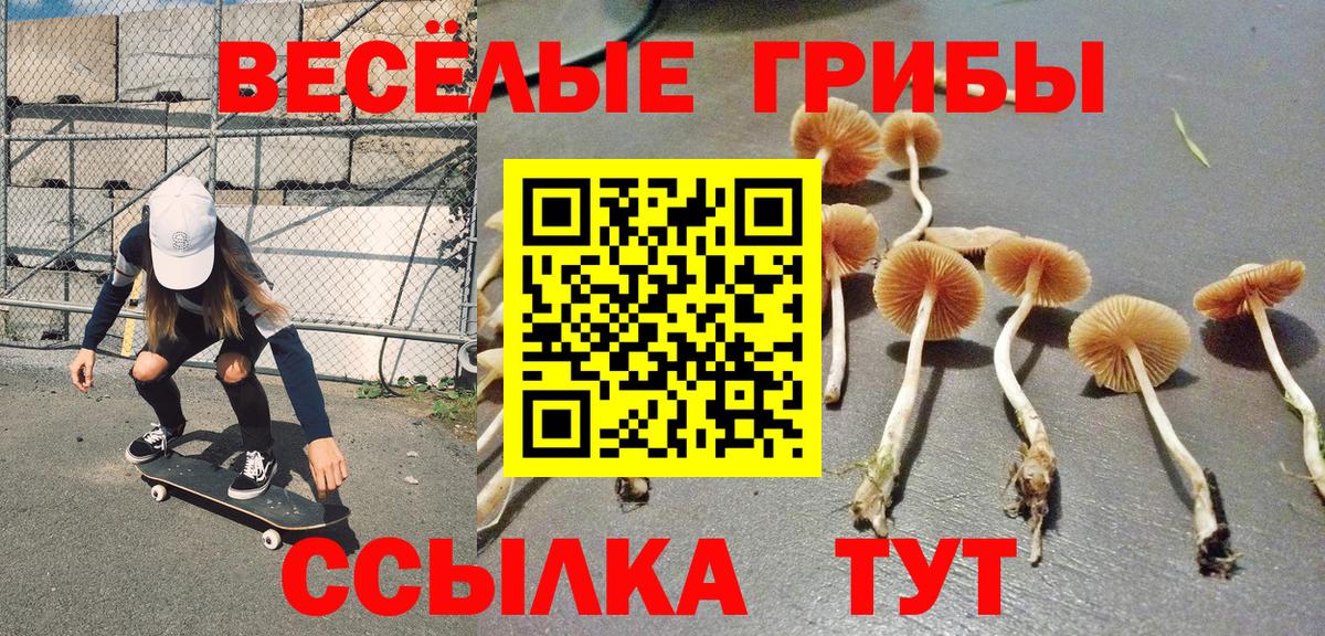 Галлюциногенные грибы GOLDEN TEACHER Котлас